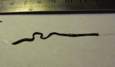 3 inch flat black worm
