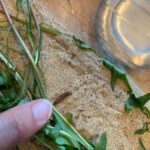 Brown Caterpillar in Sandbox Looks Like a Tomato Pinworm